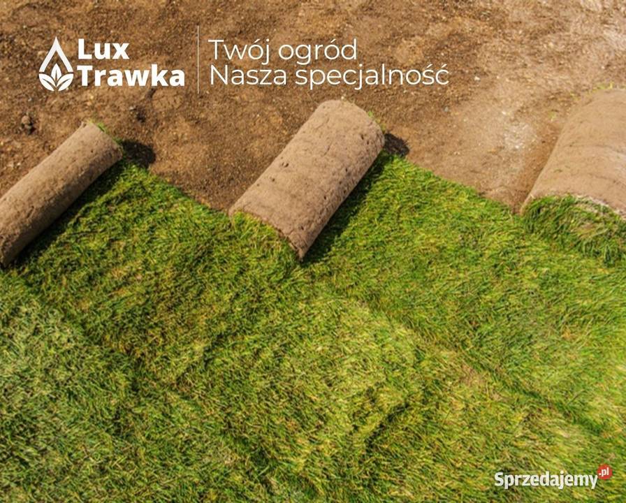 Trawa z rolki Trawa w rolce Przygotowanie małopolskie