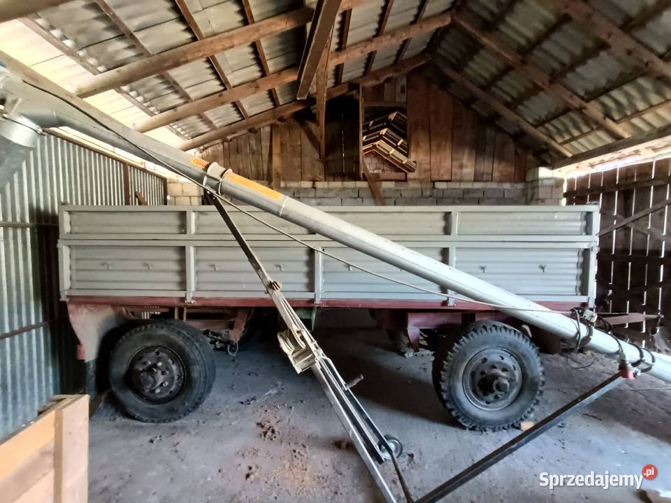 Przyczepa D50 zarejestrowana nieuszkodzony świętokrzyskie