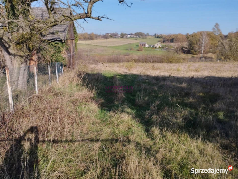 Grunt Pstrążna 70000m2 siedliskowa śląskie
