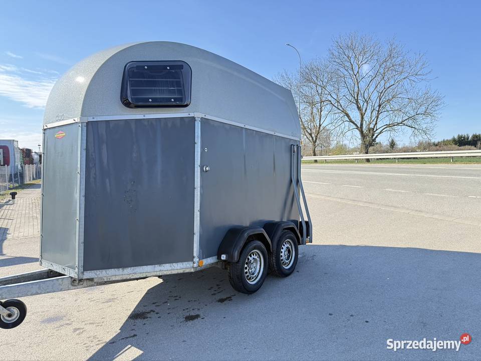 Boeckmann duo Bckmann do koni Solnica