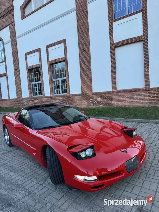 Corvette