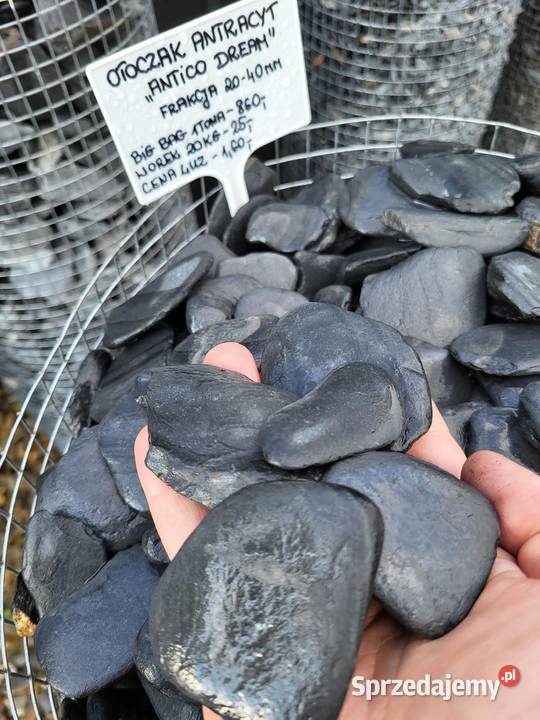 Grys Granodioryt 1622 Sjenit Dalmatyńczyk mazowieckie Pruszków