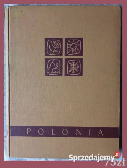 Cztery pory roku Bałukowie Polska fotografia