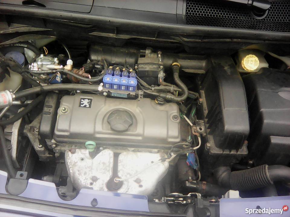 Peugeot 1007 14 BenzynaLPG Srogów Górny
