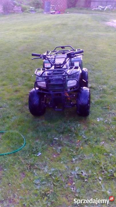 Quad Kingway Minitraper 110 Zagórze