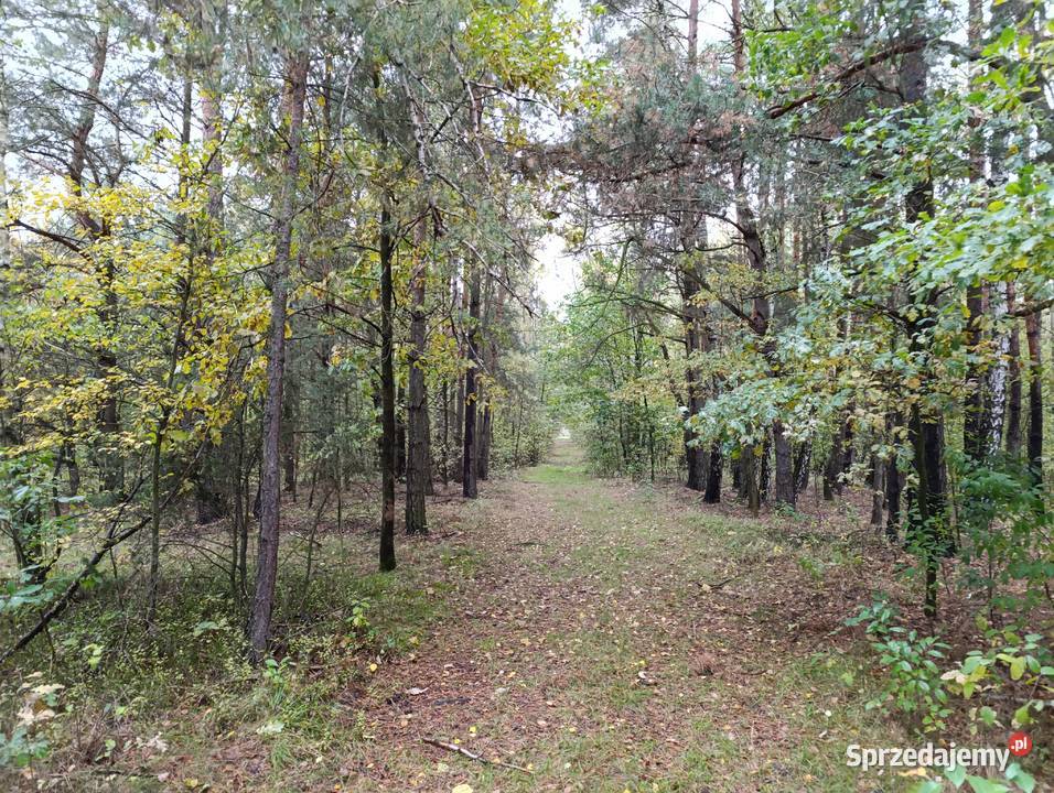 Działka budowlana pod osiedle 29400m2 Piaski gm