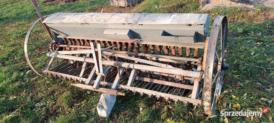 Siewnik nieuszkodzony Boguchwała