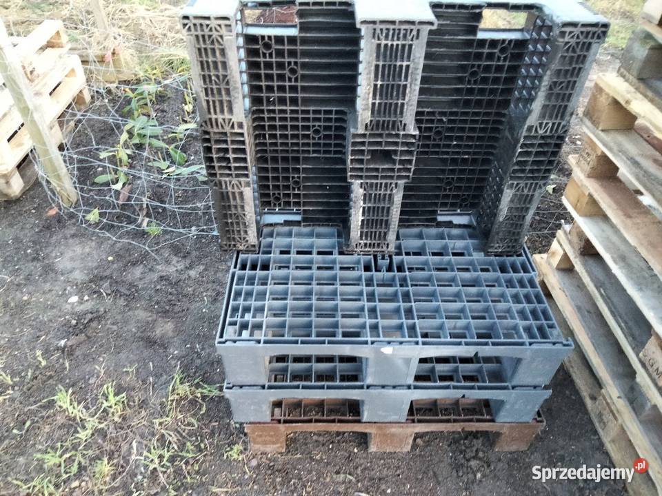 Paleta plastikowa Ostrów Wielkopolski sprzedam