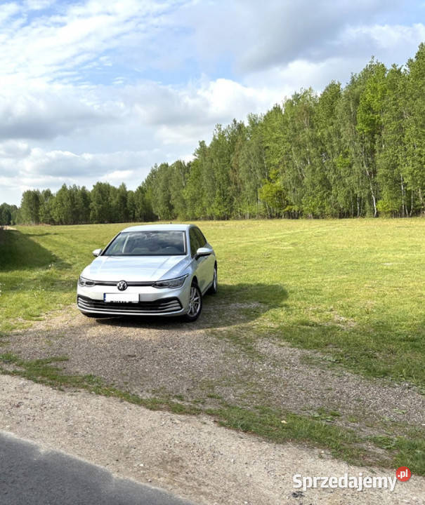Działka z warunkami zabudowy Pustelnik 37
