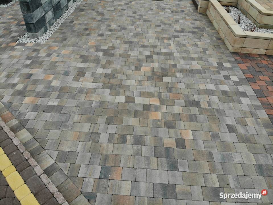 Twój Ogród z GOLDBRUK Stylowa Kostka Brukowa i Konin
