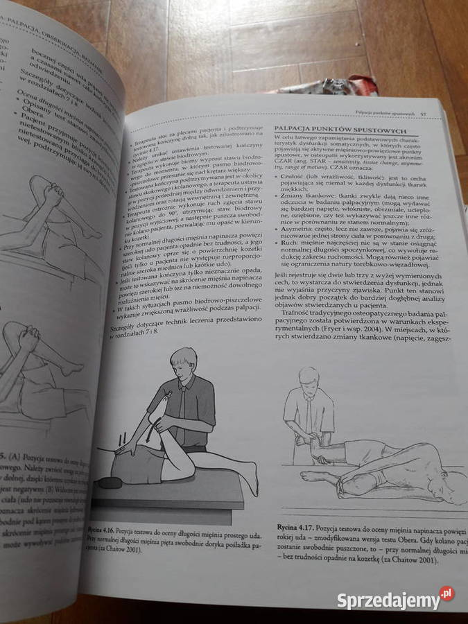 Masaż leczniczy Chaitow Fritz Pozostałe śląskie Częstochowa