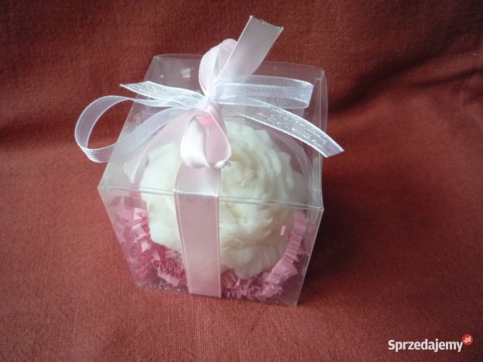 Nowa Świeczka Biała Róża zachodniopomorskie Szczecin