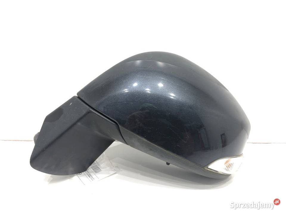 LUSTERKO LEWY RENAULT SCENIC III Minivan osobowe Karoseria podkarpackie