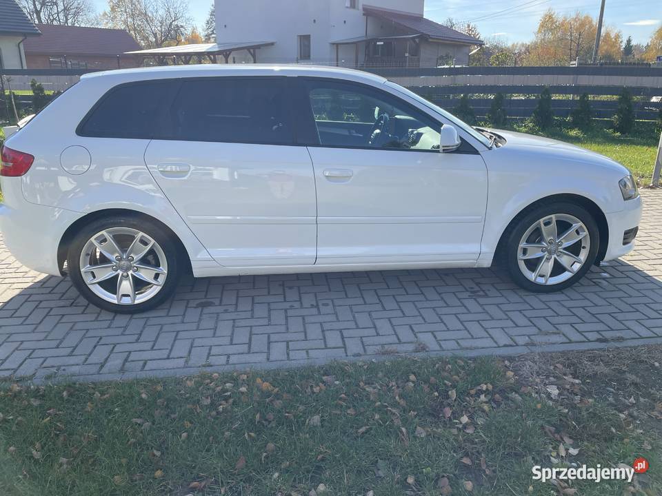 Audi A3 8P 2010r 16 TDI 105