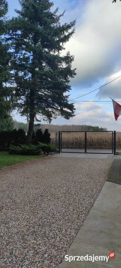 Zadbane siedlisko z 2 oddzielnymi budynkmi internet Służewo-Pole