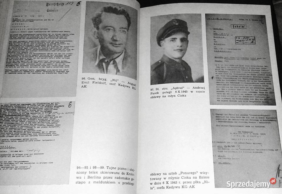 Pozdrówcie Góry Świętokrzyskie Cezary Chlebowski lubelskie Chełm sprzedam