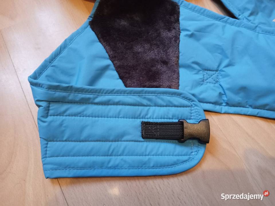 Ubranko psa Bolesławiec