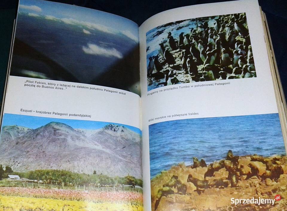 Argentyńska mozaika Aleksander Omiljanowicz lubelskie sprzedam