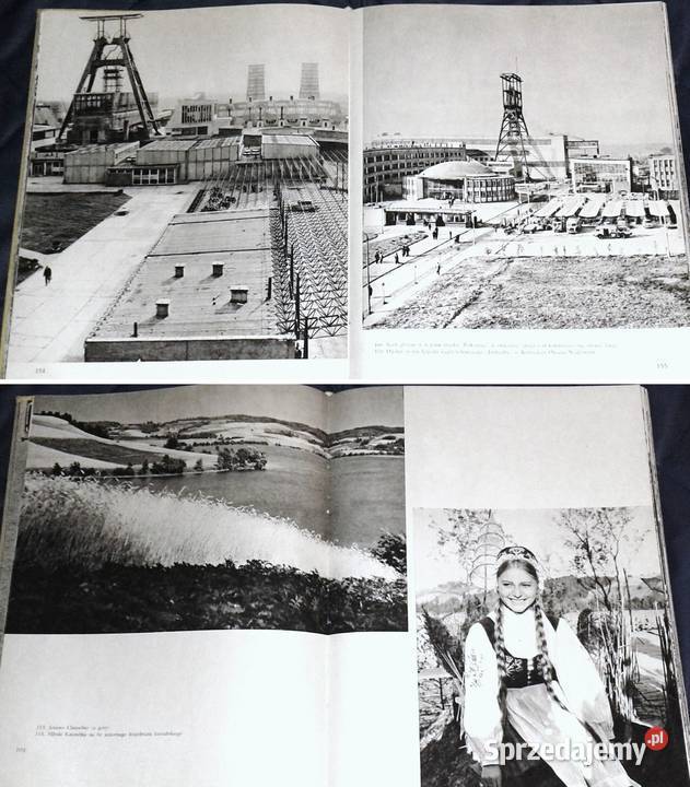 Na polskiej ziemi Kazimierz SaysseTobiczyk Pozostałe lubelskie Chełm sprzedam