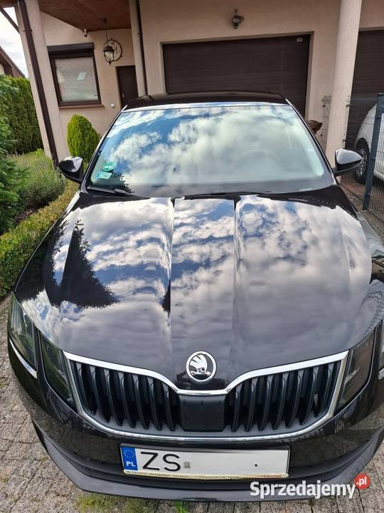 Skoda Octavia III 14TSI 150 2017 Bezwypadkowy I Rok produkcji 2017 Szczecin