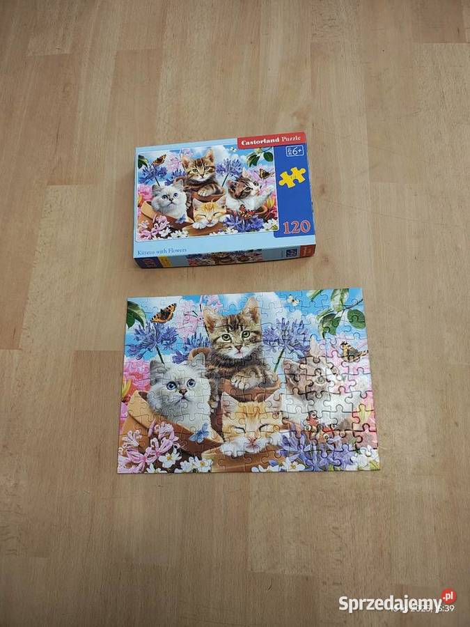 Puzzle dzieci Castorland 120 elementów koty
