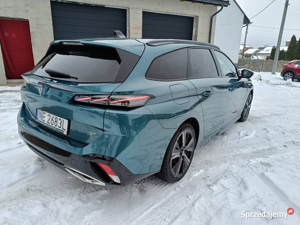 15 Salon 1 Właściciel Najbogatsza wyp Niski 308 Gołaczewy