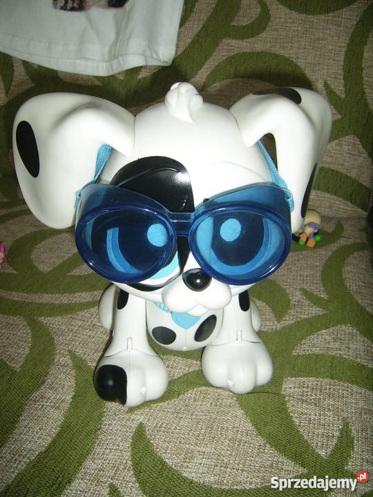 Płyń do mnie piesku Epee Sochaczew