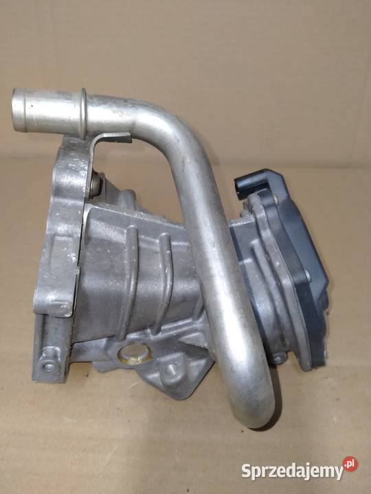 IVECO DAILY ZAWÓR EGR FPT 504317811 dostawcze Kargowa