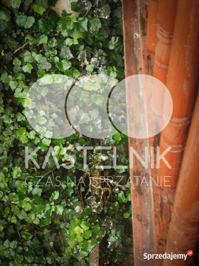 Sprzątanie gołębiach Mława Kastelnik mycie