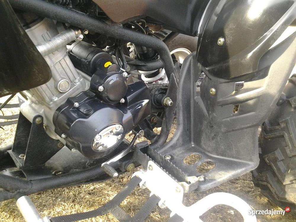 QUAD EAGLELYDA 2031 w wersji sportowej