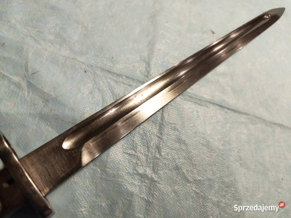 Bagnet belgijski 9824 długi Łódź