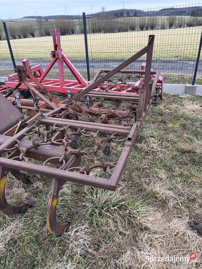 Włóka łąkowo polowa