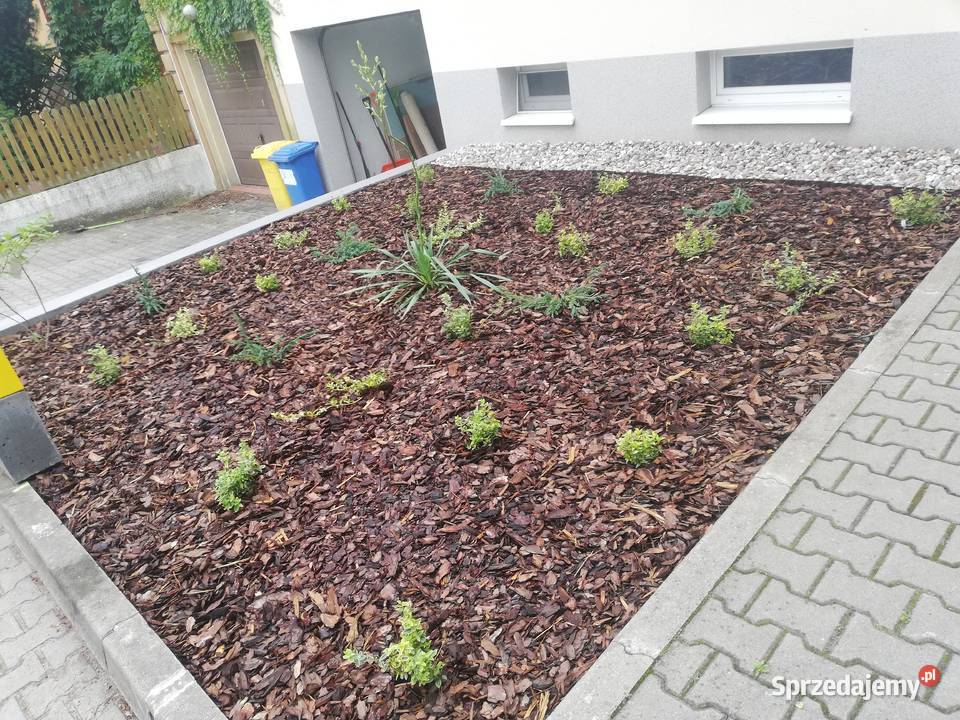 Usługi ogrodnicze pielęgnacja i zakładanie Warszawa