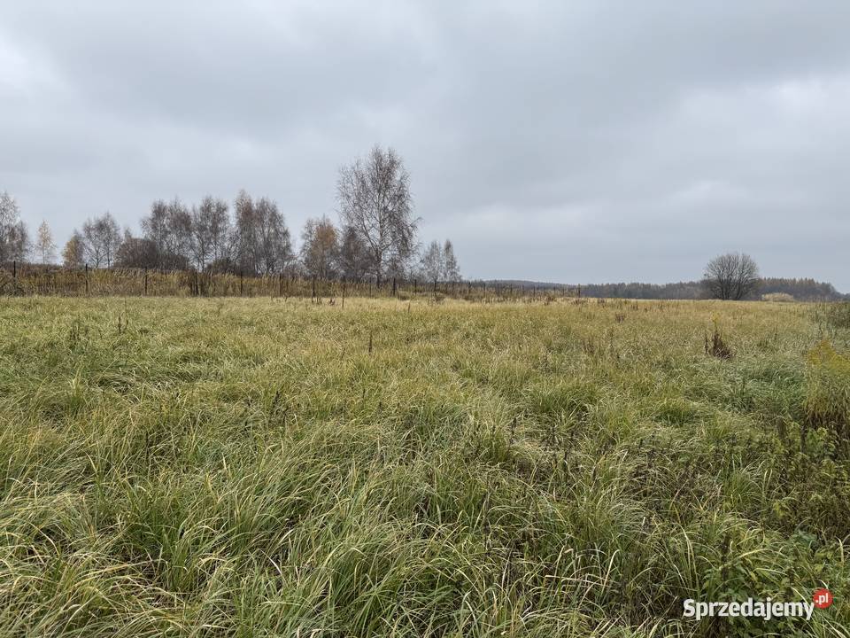 Działka 106 arów o wymiarach 144x73 m pod 240zł/m2 Zelków