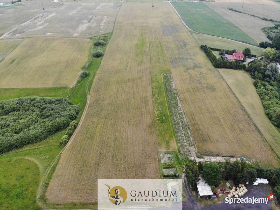 Działki przemysłowe PSSE Sztum pomorskie