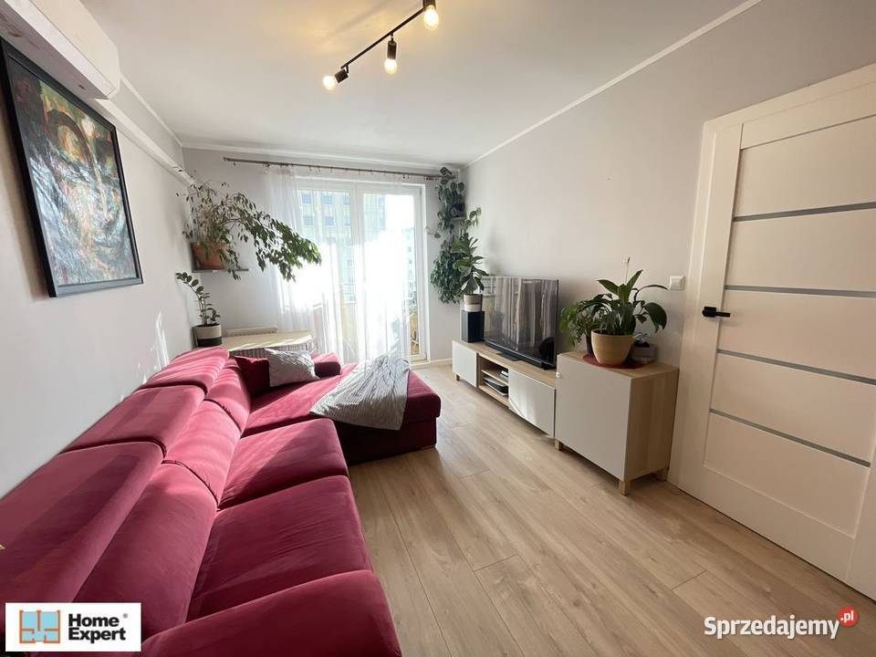 2pok 52met Długosza BALKONPIWNICAWINDA Wrocław