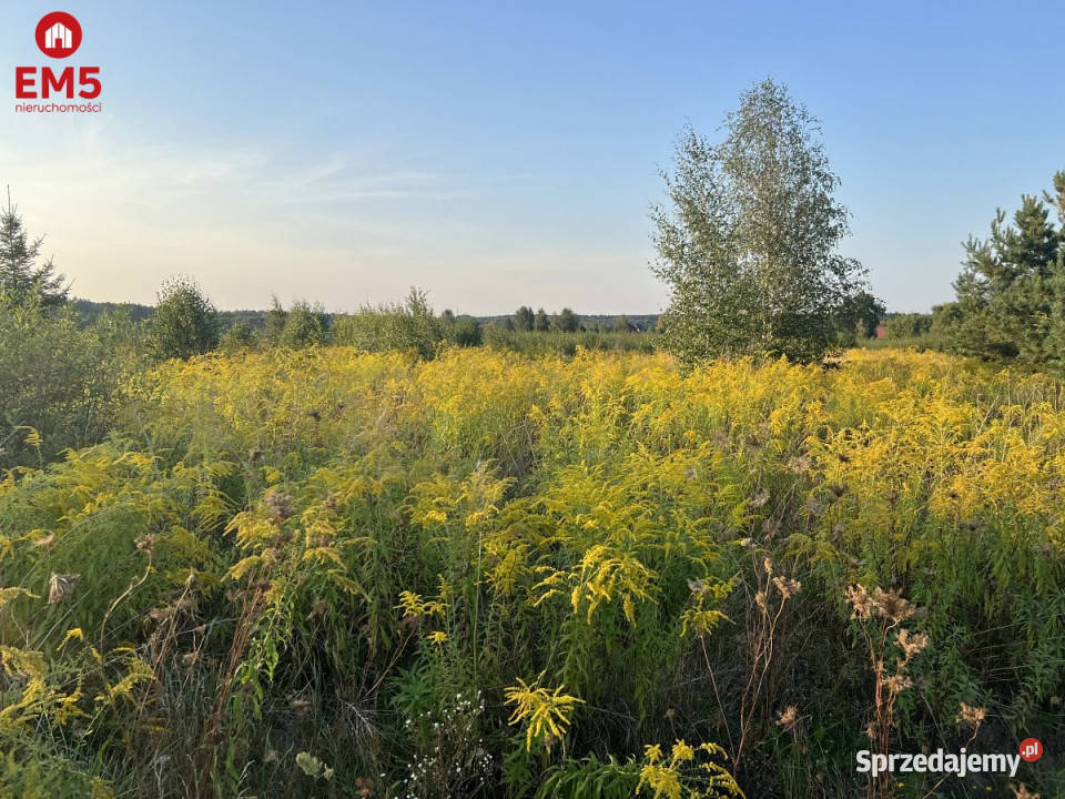 Działka Morze 4400m2 sprzedam