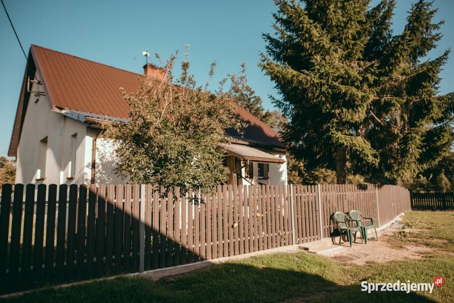 Siedlisko z zadbanym domem i budynkami na piwnica Zaorze sprzedam