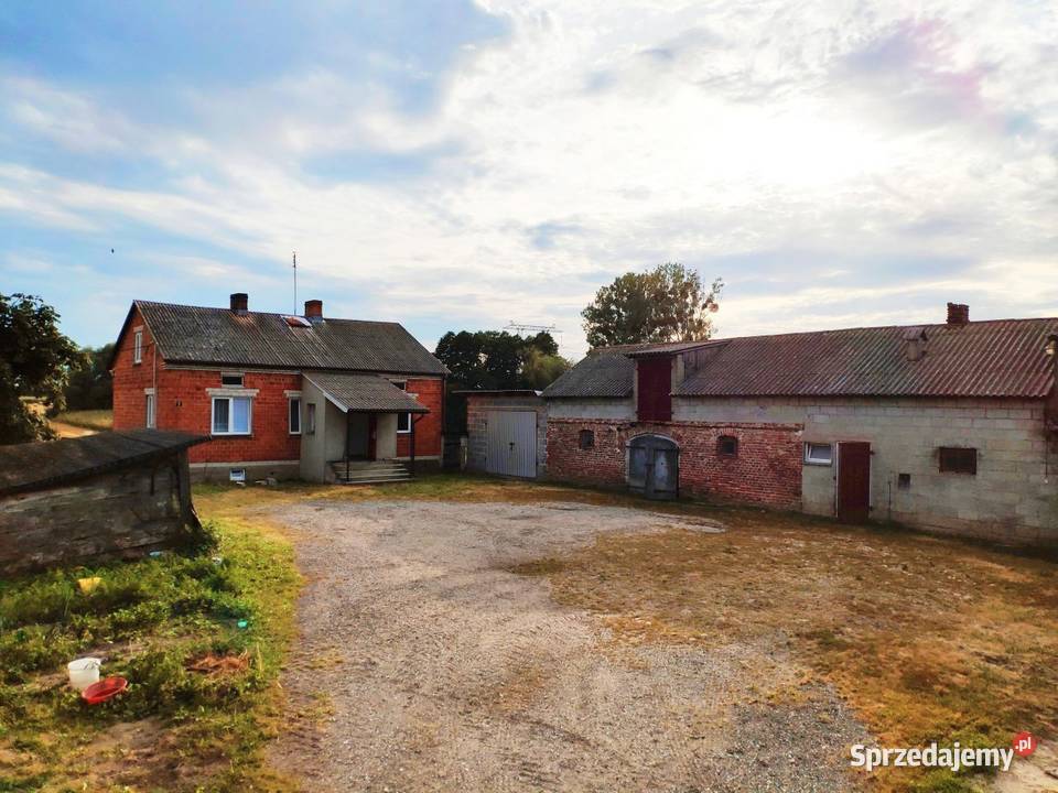 Sprzedam Tanio Gospodarstwo Rolne Pomorskie Gospodarstwo rolne 7,56ha Sprzedam Warszawa - Sprzedajemy.pl