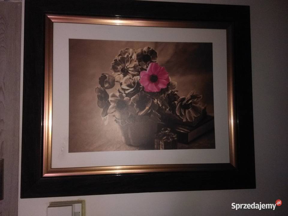 Piękna reprodukcja martwa natura sprzedam