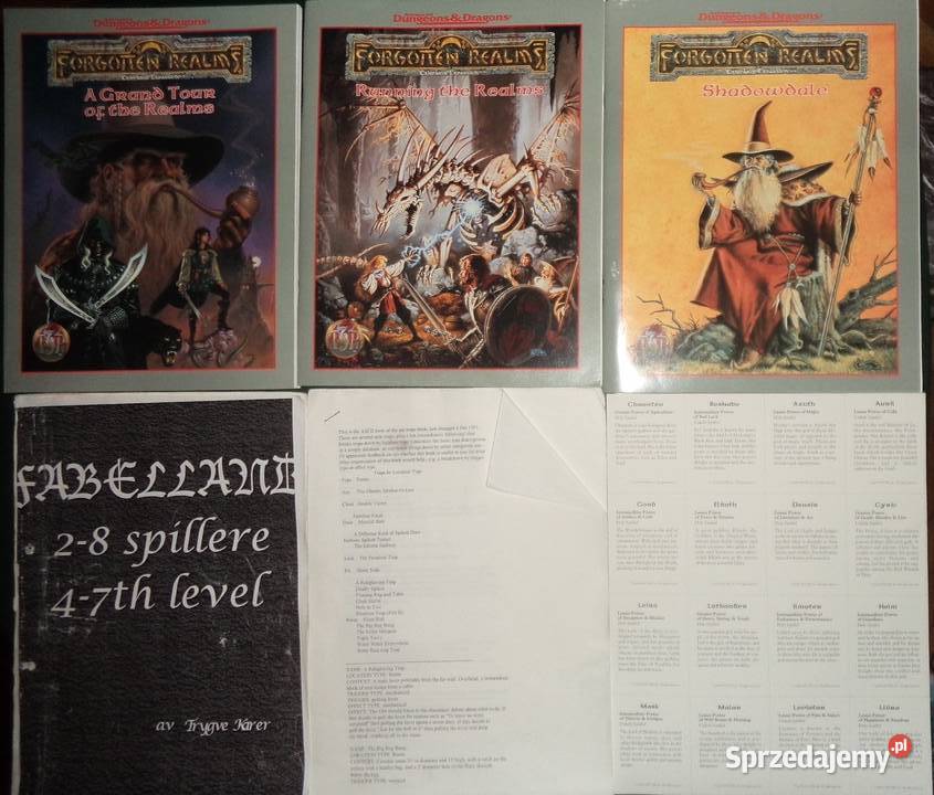 Gra Advanced Dungeons Dragons Forgotten Realms planszowe Rzeszów