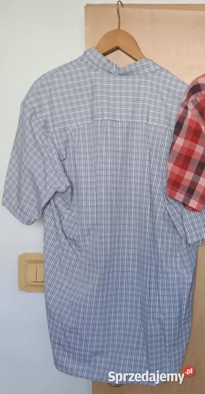zestaw 3 koszul XL lacoste pierrecardin hilfiger Rozmiar XL Poznań sprzedam