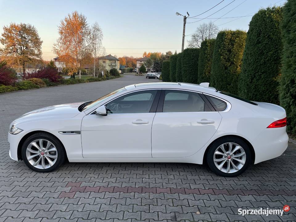 Jaguar XF 20 Benzyna 247hp 25t Premium AWD 2019 XF podkarpackie
