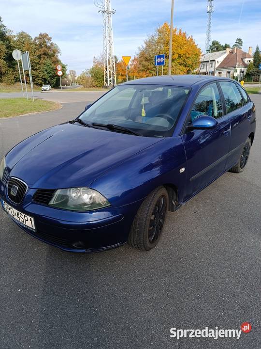 Seat Ibiza III, 2002, benzyna 1.4 16v, 5-drzwiowy