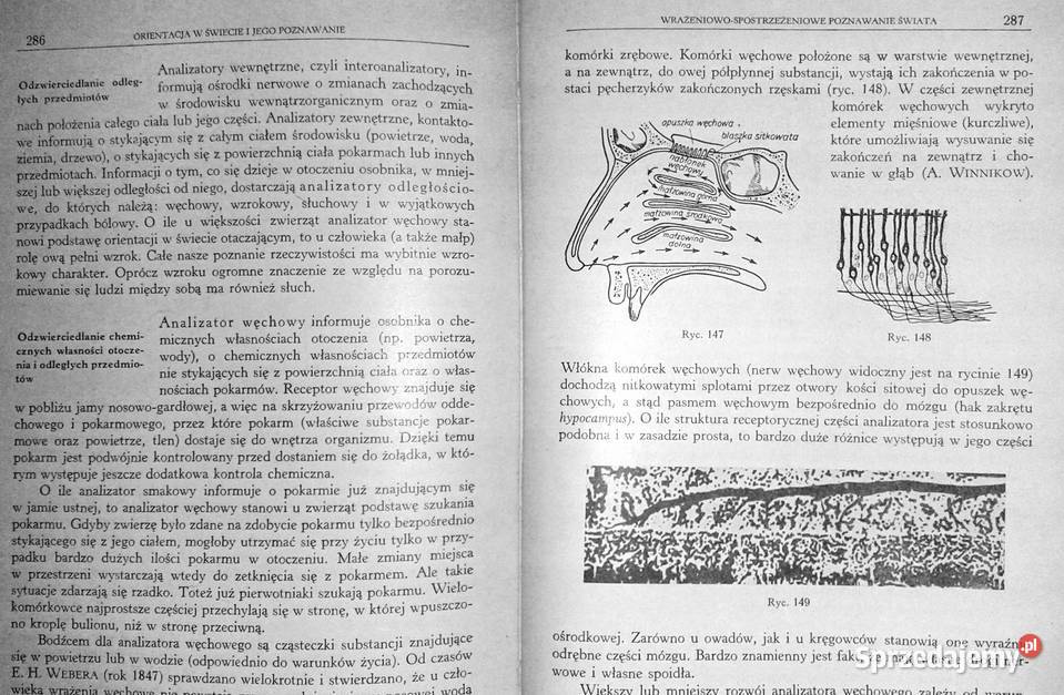 Psychologia Tom 1 Włodzimierz Szewczuk Chełm