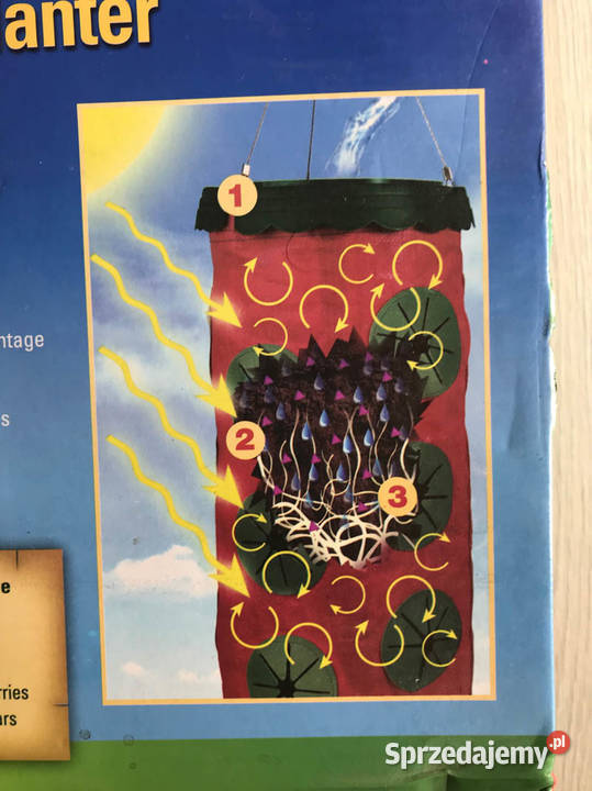 Blakonowa szklarnia pomidory truskawki Kielce