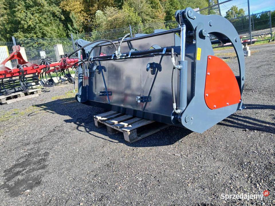 Łycho Krokodyl ząb palony Proszówka