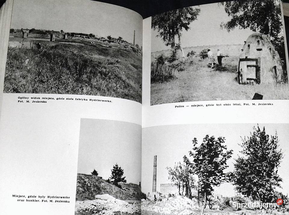 Police Krzysztof DuninWąsowicz lubelskie Chełm