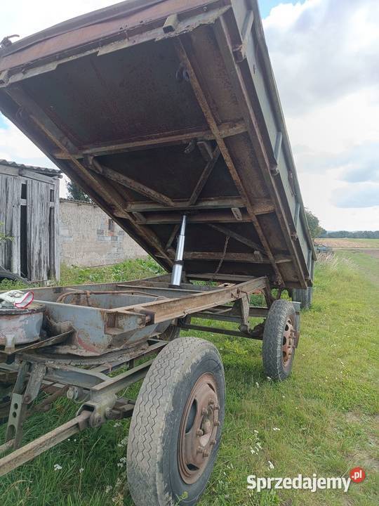 Przyczepa rolnicza Thk4 wywrotka wielkopolskie Piła