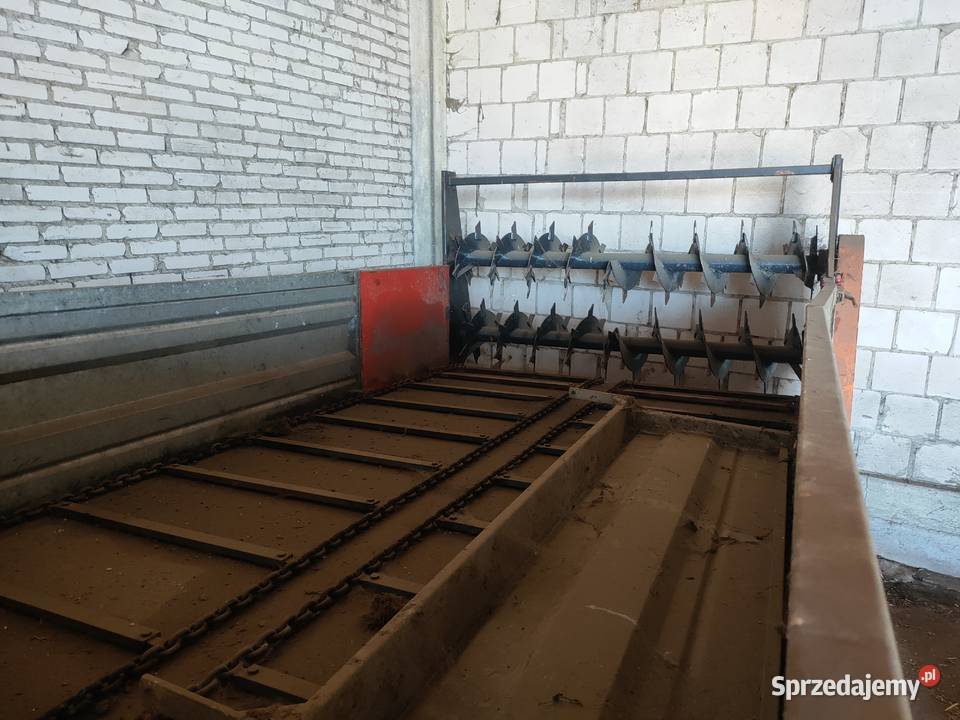 Rozrzutnik podlaskie
